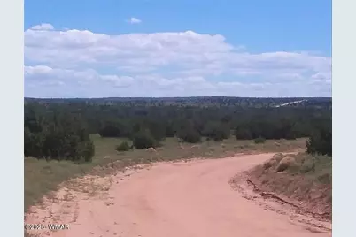 Lot 99 Woodland Valley Ranch, Saint Johns, AZ 85936 - Photo 2