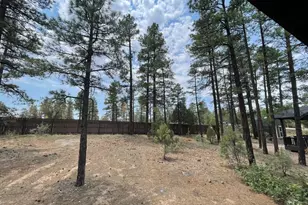 180 W Pine Haven Cir, Show Low, AZ 85901 - Photo 22
