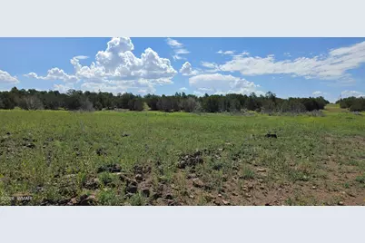 Tbd Cr 8026, Concho, AZ 85924 - Photo 4