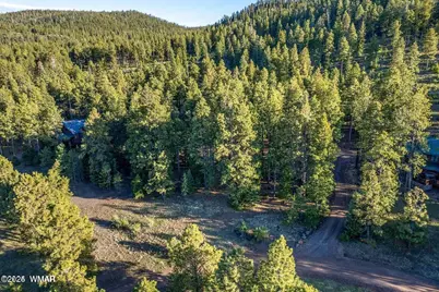 10 N 1337, Greer, AZ 85927 - Photo 14