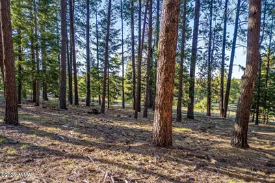 10 N 1337, Greer, AZ 85927 - Photo 4