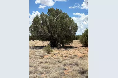 26 County Road 3048, Concho, AZ 85924 - Photo 2