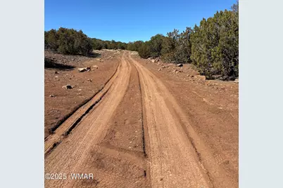 22 County Road 3048, Concho, AZ 85924 - Photo 4