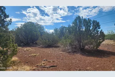 1762 Bighorn Place, Show Low, AZ 85901 - Photo 6