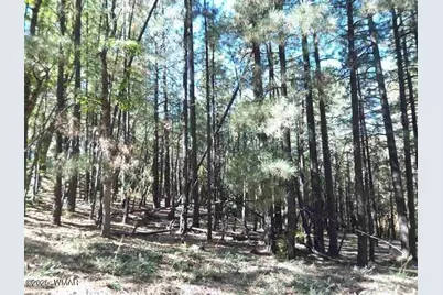 6166 Paradise Pine Lane, Pinetop, AZ 85935 - Photo 2