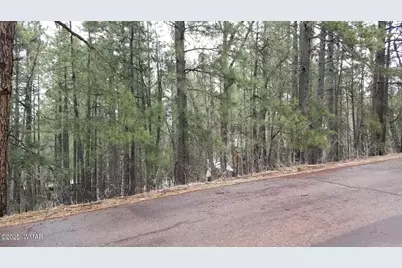 6166 Paradise Pine Lane, Pinetop, AZ 85935 - Photo 1