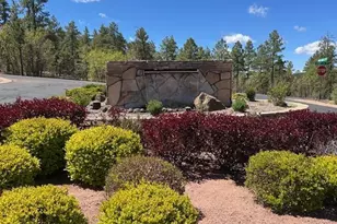 1491 W Snow Creek Trail, Show Low, AZ 85901 - Photo 50