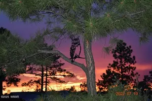 1491 W Snow Creek Trail, Show Low, AZ 85901 - Photo 52