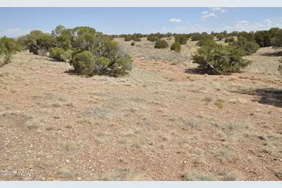 138 Jeff Lake Rd, Concho, AZ 85924 - Photo 50