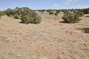 138 Jeff Lake Rd, Concho, AZ 85924 - Photo 50