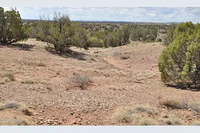 138 Jeff Lake Rd, Concho, AZ 85924 - Photo 28