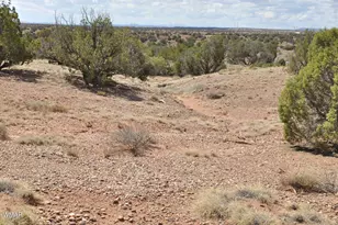 138 Jeff Lake Rd, Concho, AZ 85924 - Photo 28