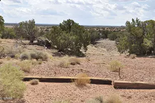 138 Jeff Lake Rd, Concho, AZ 85924 - Photo 44