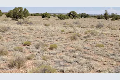 138 Jeff Lake Rd, Concho, AZ 85924 - Photo 26