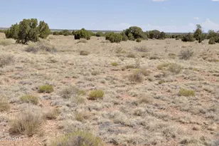 138 Jeff Lake Rd, Concho, AZ 85924 - Photo 26