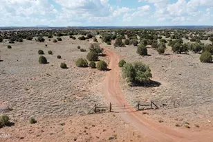 138 Jeff Lake Rd, Concho, AZ 85924 - Photo 52