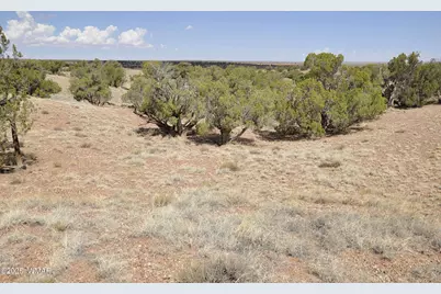 138 Jeff Lake Rd, Concho, AZ 85924 - Photo 48