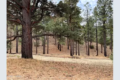 Tbd County Road N2276, Nutrioso, AZ 85932 - Photo 2