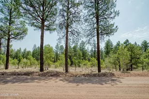 540 Rim Dr, Pinedale, AZ 85934 - Photo 22