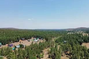 540 Rim Dr, Pinedale, AZ 85934 - Photo 30