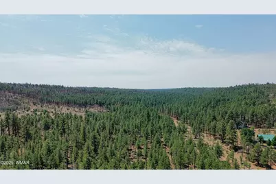 540 Rim Drive, Pinedale, AZ 85934 - Photo 32