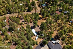 2884 Pine Rim Rd, Overgaard, AZ 85933 - Photo 74