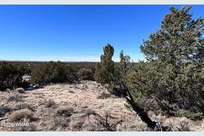 004B N N7411, Saint Johns, AZ 85936 - Photo 4