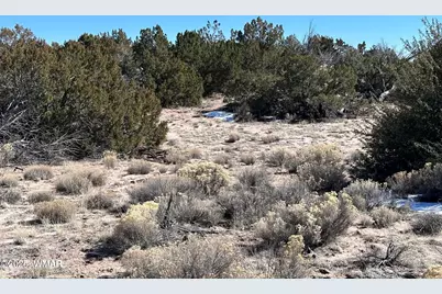 004B N N7411, Saint Johns, AZ 85936 - Photo 8