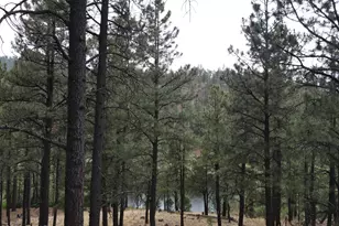 3 Acr 1029 St, Greer, AZ 85927 - Photo 6