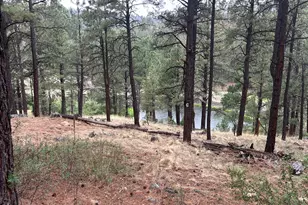 3 Acr 1029 St, Greer, AZ 85927 - Photo 88