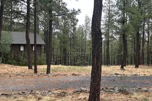 3 Acr 1029 St, Greer, AZ 85927 - Photo 84