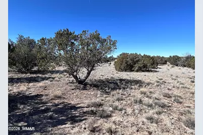 004A N N7204, Saint Johns, AZ 85936 - Photo 2