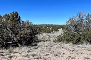 004A N N7204, Saint Johns, AZ 85936 - Photo 1