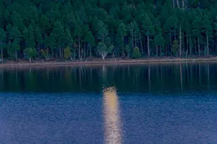 5606 High Dr, Lakeside, AZ 85929 - Photo 80