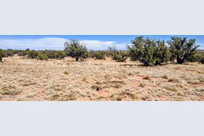 Lot 44 Ranch Of The White Mountains, Concho, AZ 85924 - Photo 4