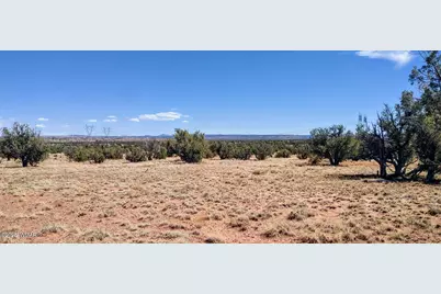 Lot 44 Ranch Of The White Mountains, Concho, AZ 85924 - Photo 2