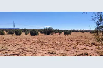 Lot 44 Ranch Of The White Mountains, Concho, AZ 85924 - Photo 8