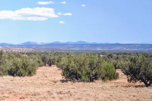 Lot 44 Ranch Of The White Mountains, Concho, AZ 85924 - Photo 1