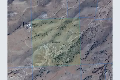 Lot 118 Big Valley Ranches, Concho, AZ 85924 - Photo 1