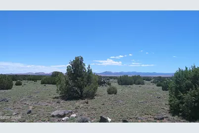 Tbd Windsor Valley Ranch Lot 87, Concho Valley, AZ 85924 - Photo 16