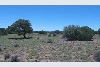Tbd Windsor Valley Ranch Lot 87, Concho Valley, AZ 85924 - Photo 18