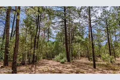 5039 Winter Hawk Court, Lakeside, AZ 85929 - Photo 10