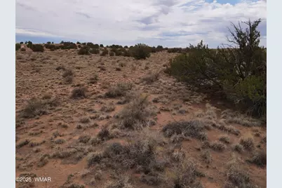 5489 White Antelope Road, Snowflake, AZ 85937 - Photo 12