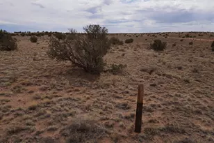 5489 White Antelope Road, Snowflake, AZ 85937 - Photo 1