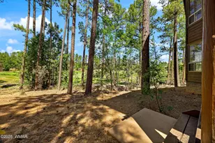 630 S Rockcress Ln, Show Low, AZ 85901 - Photo 12