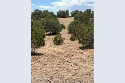 Tbd Lazy O Rd, Show Low, AZ 85901 - Photo 14