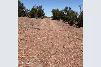 Tbd Lazy O Rd, Show Low, AZ 85901 - Photo 8