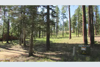 8 County Road 2194, Alpine, AZ 85920 - Photo 8