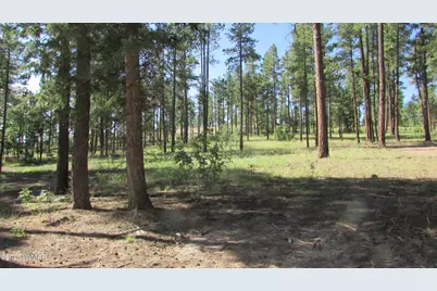 8 County Road 2194, Alpine, AZ 85920 - Photo 4