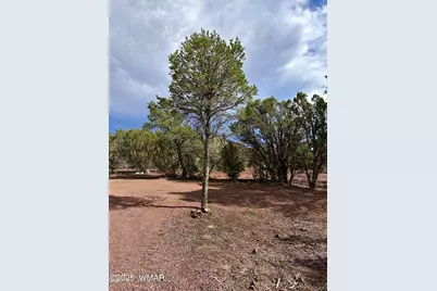 14 County Rd N3573, Vernon, AZ 85940 - Photo 16